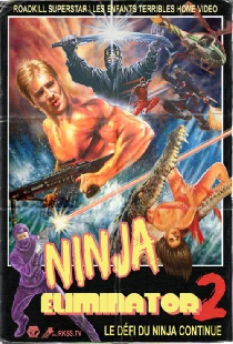 Ninja Eliminator 2: Quest of the Magic Ninja Crystal