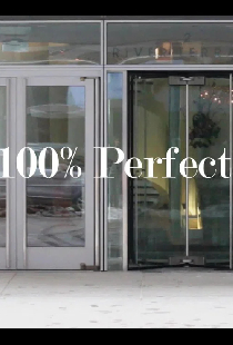 The 100% Perfect Girl