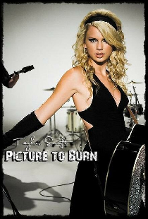 Taylor Swift: Picture to Burn