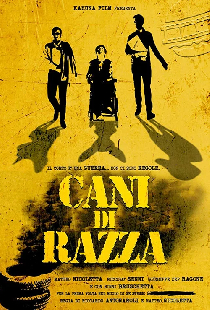Cani di razza