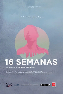 16 semanas