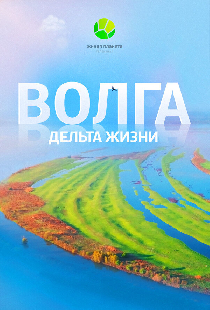 Волга: Дельта жизни