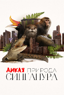 Дикая природа Сингапура