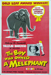 The Boy Who Owned a Melephant
