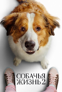 Собачья жизнь 2