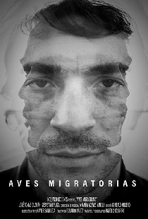 Aves migratorias