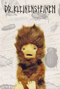 Dr. Kleinensteinen