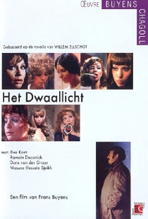 Het Dwaallicht