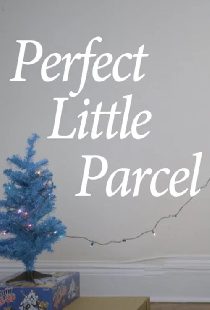 Perfect Little Parcel