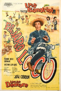 Pájaro loco