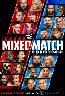 WWE Mixed-Match Challenge