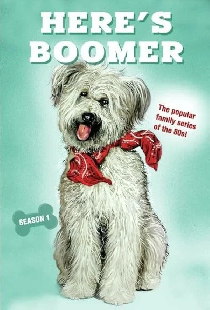 А вот и Бумер