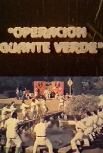 Operación Guante Verde