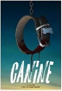 Canine