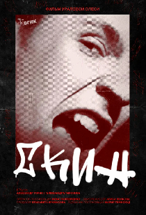 Скин