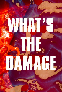 What's The Damage