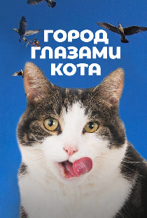 Город глазами кота