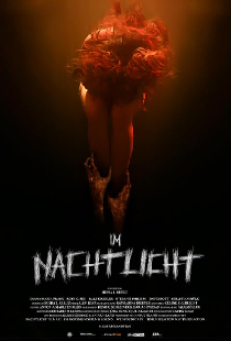 Im Nachtlicht