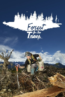 Forest for the Trees