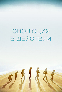 Эволюция в действии