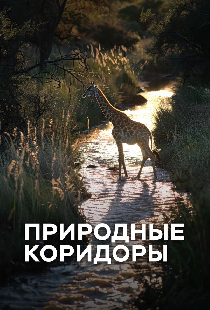 Природные коридоры