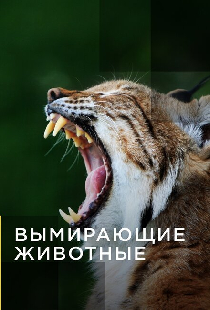 Вымирающие животные