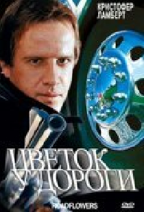 Цветок у дороги