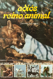 Adiós reino animal