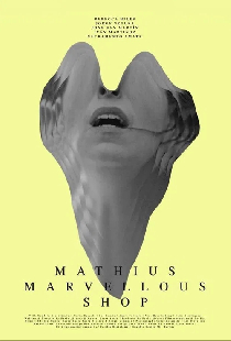 Mathius Marvellous Shop