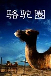 Верблюжий круг