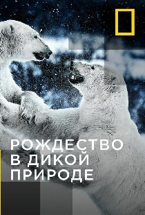 Рождество в дикой природе