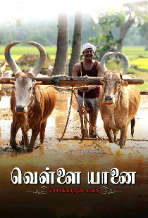 வெள்ளை யானை