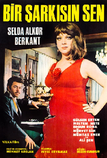 Bir Şarkısın Sen
