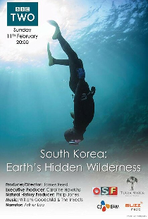 South Korea: Earth's Hidden Wilderness