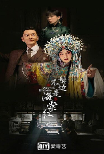 Зимняя бегония