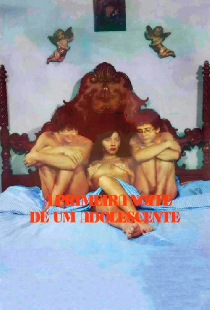 A Primeira Noite de um Adolescente