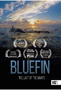 Bluefin