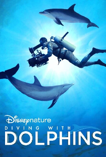 Diving with Dolphins