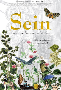 Sein