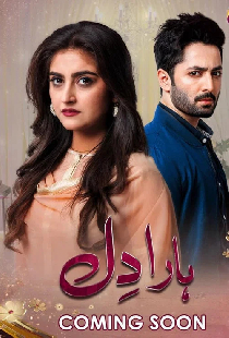 Haara Dil