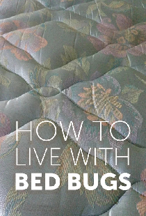How to Live with Bed Bugs