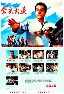 金光大道（上集）