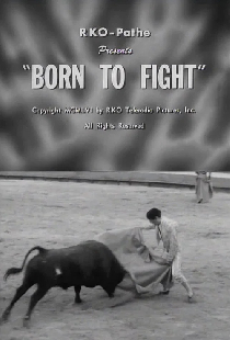 Born to Fight