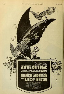 A Wife on Trial