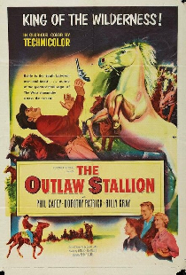 The Outlaw Stallion