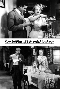 Официантка «У диковатой красотки»