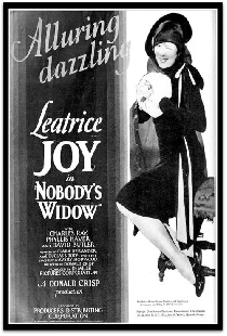 Nobody's Widow