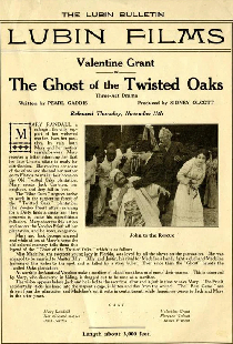 The Ghost of Twisted Oaks