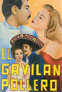 El gavilán pollero