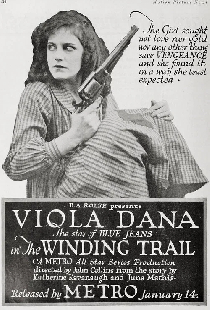 The Winding Trail